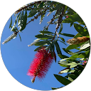 Bronwen Joyner profile picture